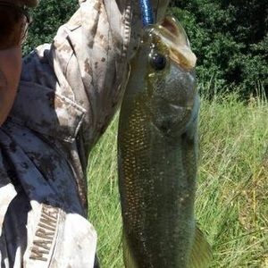 Meet your Posher, Kendall